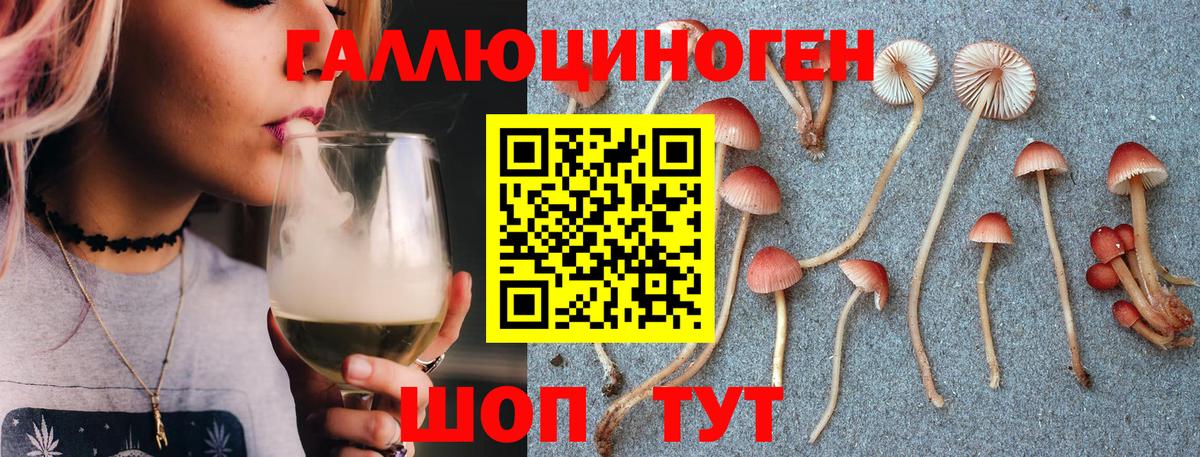 Псилоцибиновые грибы мухоморы Хабаровск